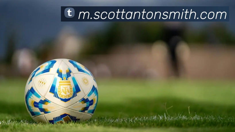 九游j9最新网站平台生态图